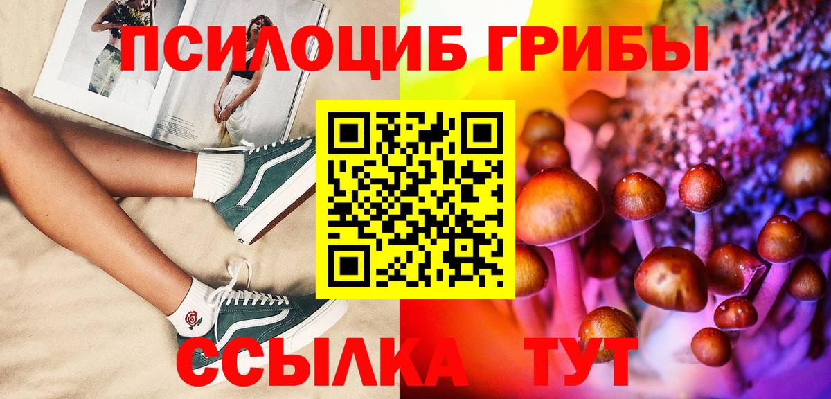 Псилоцибиновые грибы GOLDEN TEACHER Истра